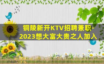 铜陵新开KTV招聘兼职-2023想大富大贵之人加入